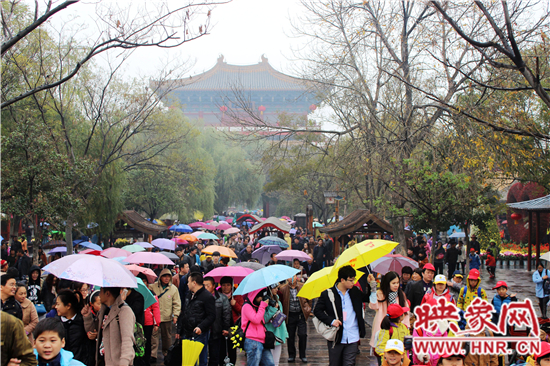 天好、花美 中國開封第32屆菊花文化節(jié)延長一周