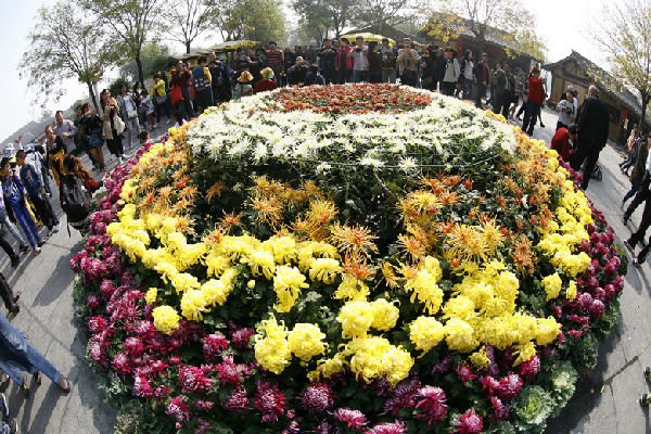 中國(開封)第32屆菊花文化節(jié)圓滿落下帷幕 中國(開封)第32屆菊花文化節(jié)圓滿落下帷幕