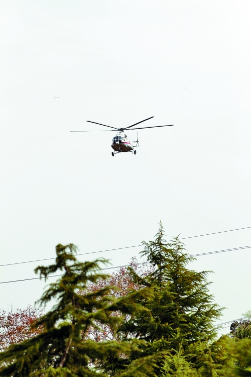 輕拋一點(diǎn)入云去，利眼“鐵鷹”掠地來
