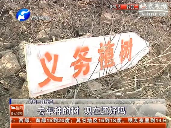 去年種的樹 現(xiàn)在還好嗎？