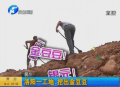 洛陽(yáng)一工地 挖出金豆豆