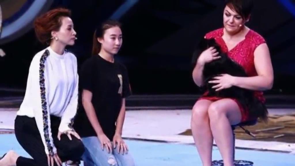 又當(dāng)托？ 董卿節(jié)目現(xiàn)場(chǎng)當(dāng)眾對(duì)狗下跪稱被催眠