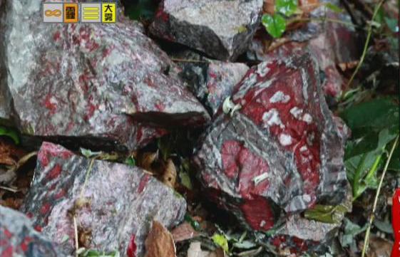驚！神農(nóng)架無人區(qū)現(xiàn)神秘玉石