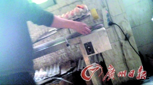 工作人員正在為“土雞蛋”噴日期碼。