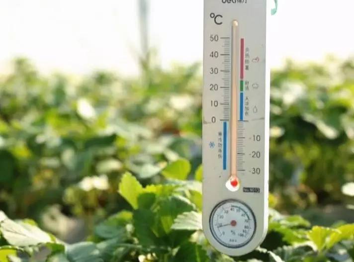 溫度監(jiān)測 溫度監(jiān)測